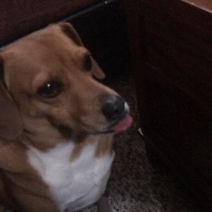 Meet your Posher, Kaden